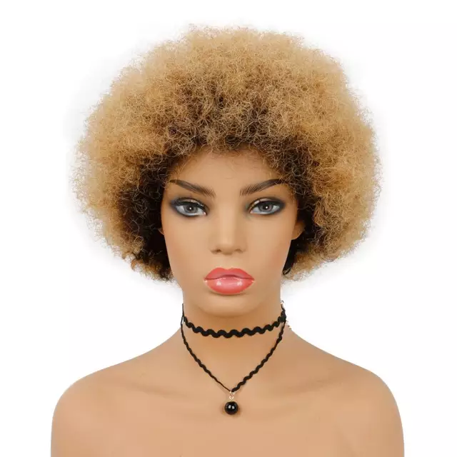 Kinky-Curly Afro Wig Human Hair Wigs Brazilian Short afro wig